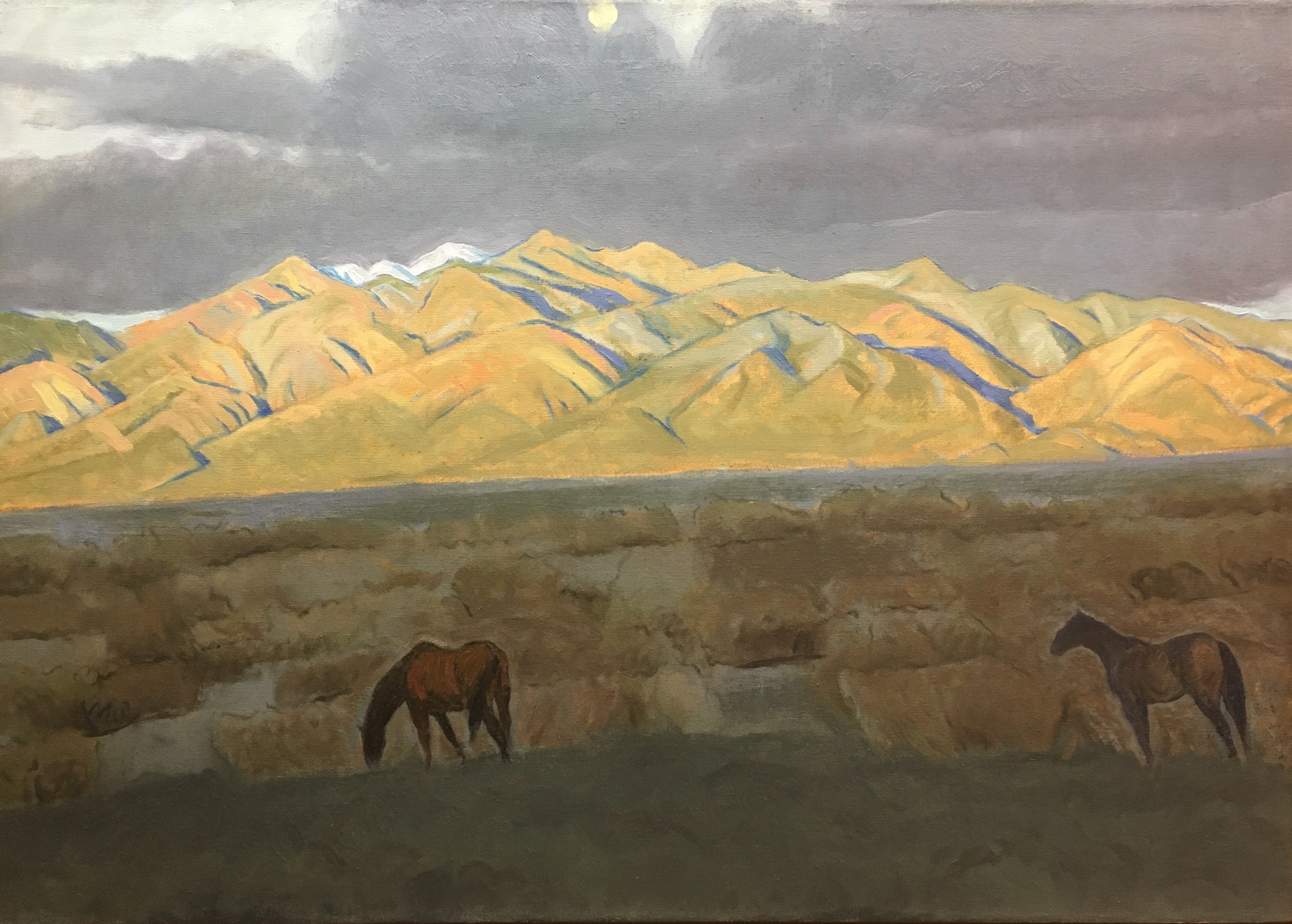 Taos Range, Horses